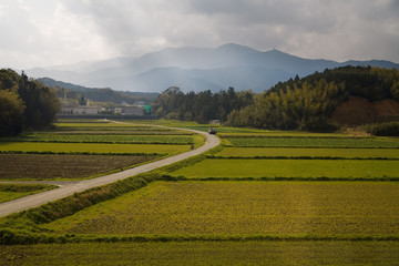 Fototapeta na wymiar Japanese Rural Scene