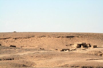 Desert landscape