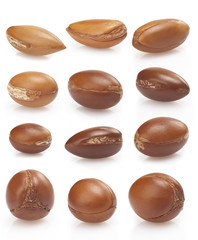 seeds of argan on white,a close up on white background