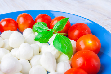 Mozzarella cheese on a blue plate with a basil leaf