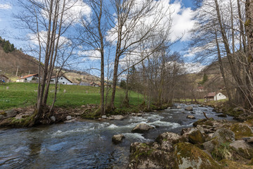 ruisseau des Vosges
