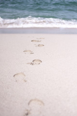 footprints in the sand