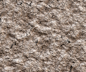 dry cracked wilderness texture