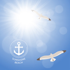 Fototapeta premium Shining summer sun with seagulls