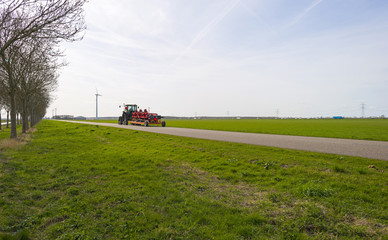Fototapeta premium Trees along a countryside road in spring