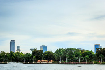 Fototapeta premium Central Park and Blue Sky