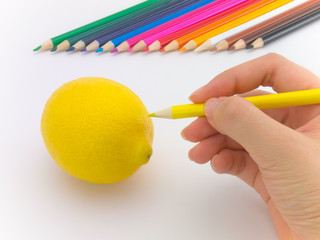 Naklejka premium Drawing Lemon