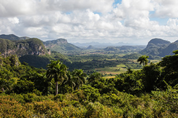 Fototapeta na wymiar A view of mountain forest landscape in Cuba
