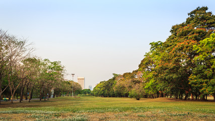 Public park