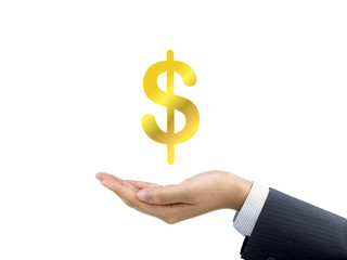 money icon holding by businessman's hand