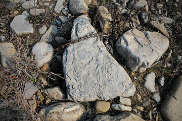 several large stones with relief structure on the ground