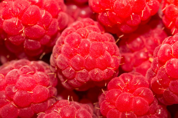 ripe raspberry as a background