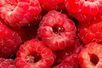 ripe raspberry as a background