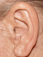 ear macro