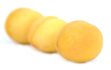 ripe apricot