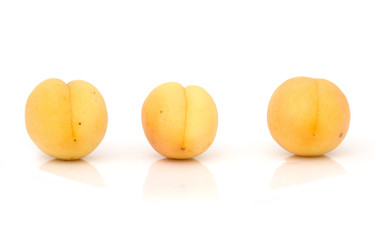 ripe apricot