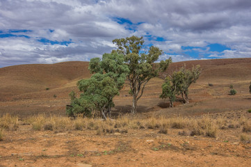 Flinders Ranges 46
