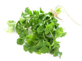 Coriander