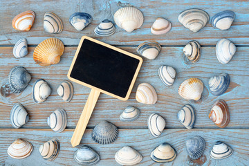 wooden background with shells and empty chalk blackboard