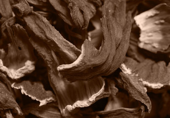 Hibiscus tea flowers macro