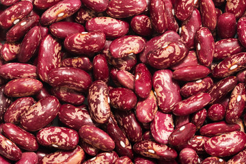 red beans macro