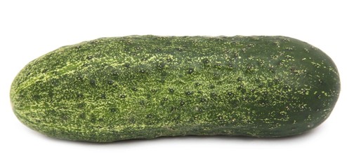 cucumber