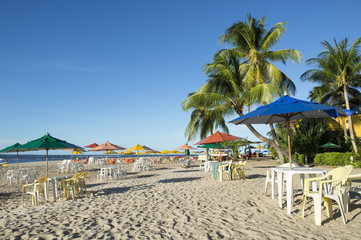 Beach Chairs and Palm Trees Bahia Nordeste Brazil