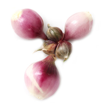 small red onion on white background