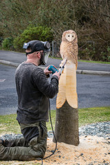 Owl sculptor working © drhfoto