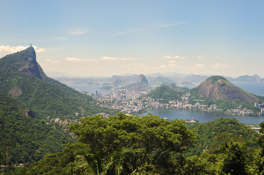 Rio de Janeiro Jungle Skyline
