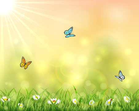 Nature background with three butterflies