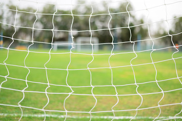 soccer field grass Goa © naufalmq