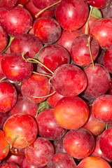 cherry plum fruit as background