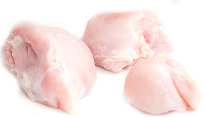 fresh turkey breast on a white background