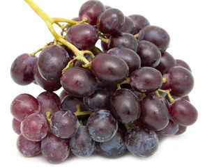 brush of red grapes on white background
