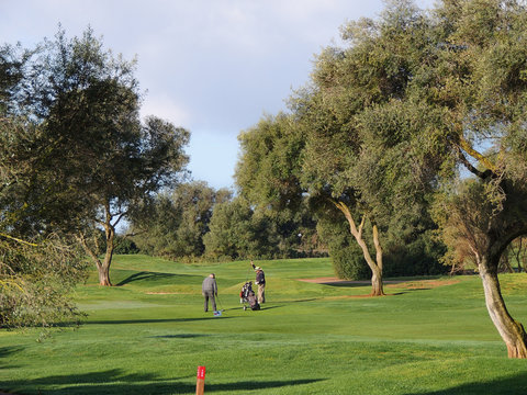 Golf Course With Golfers