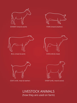 Livestock animals poster on red background
