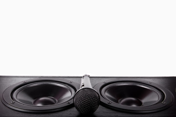 microphone and speaker