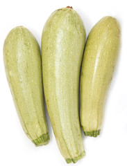 young zucchini