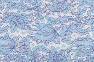 Fototapeta premium lace pale blue