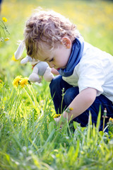 junge plückt blumen