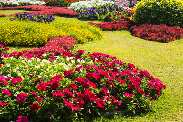 Beautiful garden design.
