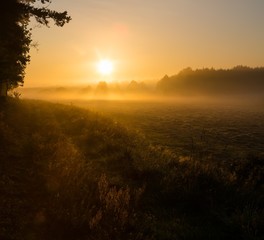 Fototapeta na wymiar Foggy morning on meadow