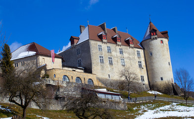 Chateau de Gruyerey