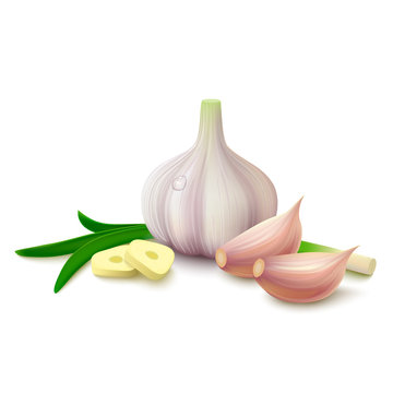 Garlic on white background