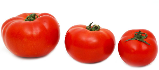 red tomatoes vary in size on a white background