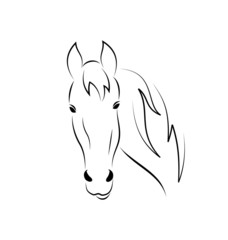 Symbol outline head horse isolated on white background