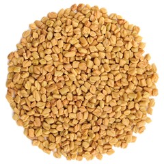Fenugreek seeds in round shape isolated