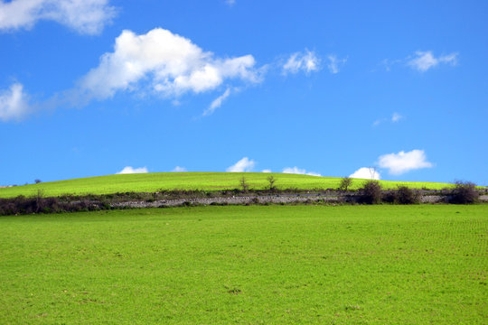 Collina con erba verde e nuvole nel cielo blu