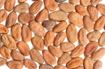 Raw cocoa beans pattern isolated